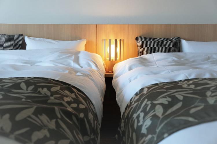 デラックスツインの写真3