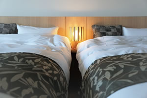 デラックスツインのサムネイル３